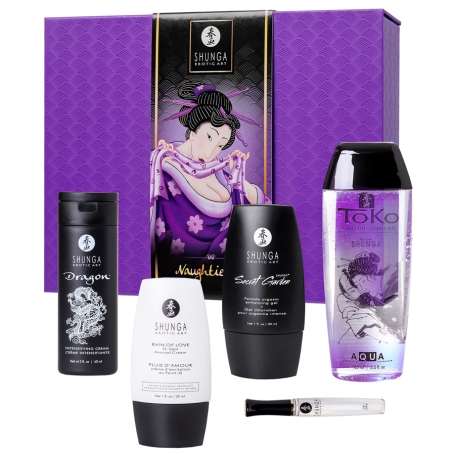 Подарочный набор Shunga Naughter Kit